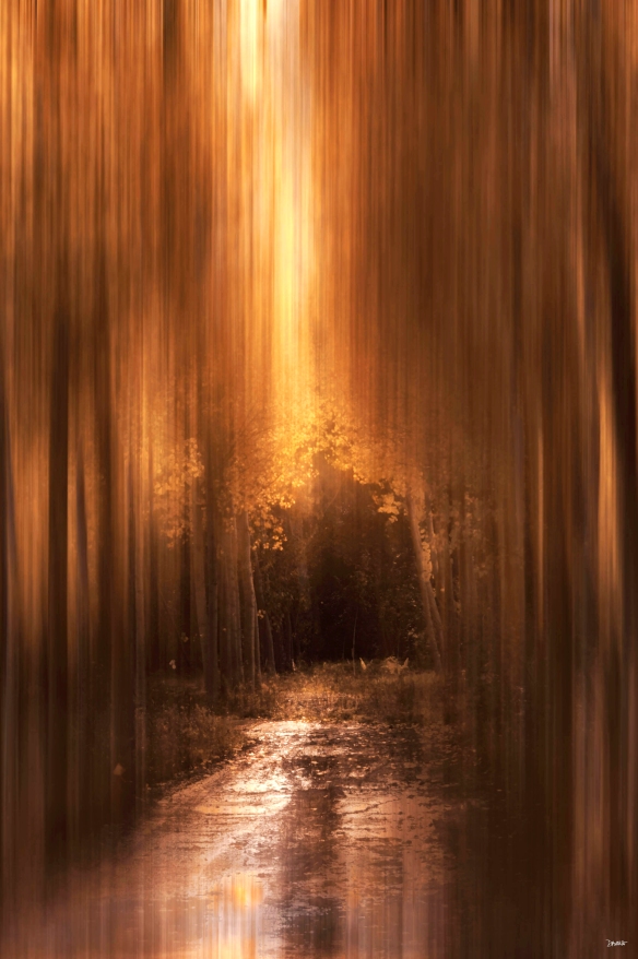 "The golden path..."